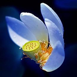 成为仙界巅峰背后的男人《戒指里的老爷爷》定档5月22日EA上线！